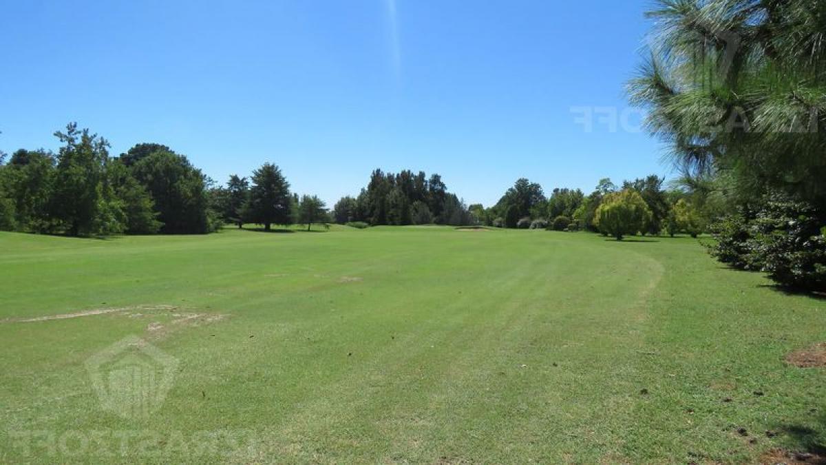  Land in Pilar, Argentina No. 117473