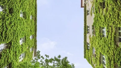 4غرفة شقة في Wieden, Austria رقم 212078