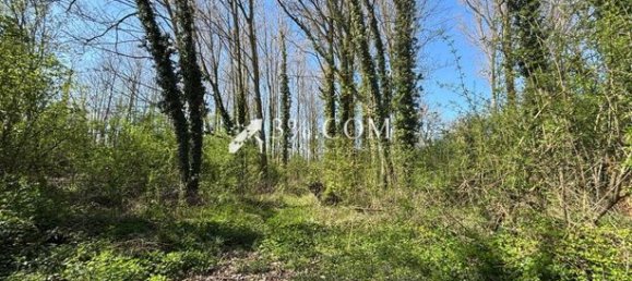 122030m² Land in Valenciennes, France No. 276982 4