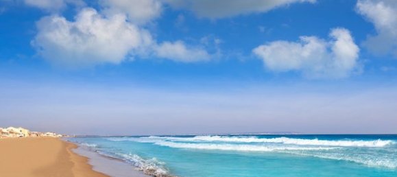 5 bedrooms House in Guardamar del Segura, Spain No. 51180 26