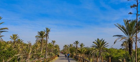 5 bedrooms House in Guardamar del Segura, Spain No. 51180 18