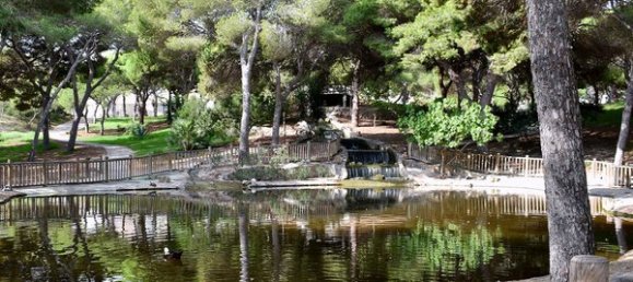 5 bedrooms House in Guardamar del Segura, Spain No. 51180 15