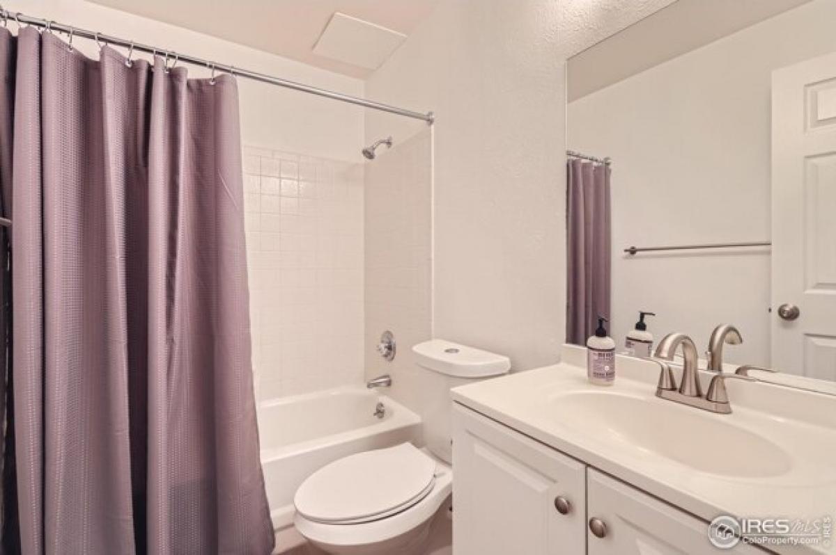 Studio in Boulder, USA, Nr. 395716