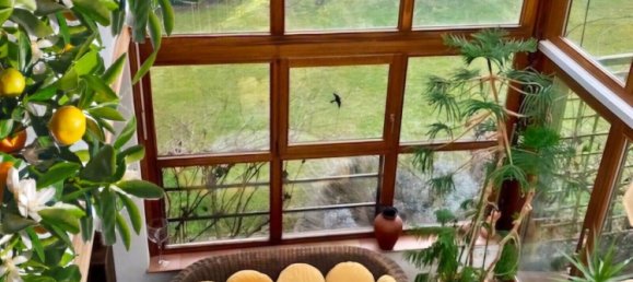 7-salle Maison à Odenwaldkreis, Germany No. 11962 6