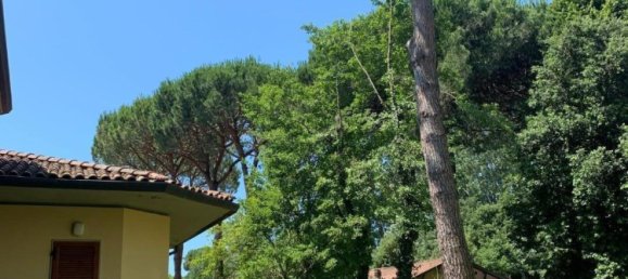 5 bedrooms Villa in Massa, Italy No. 128294 19