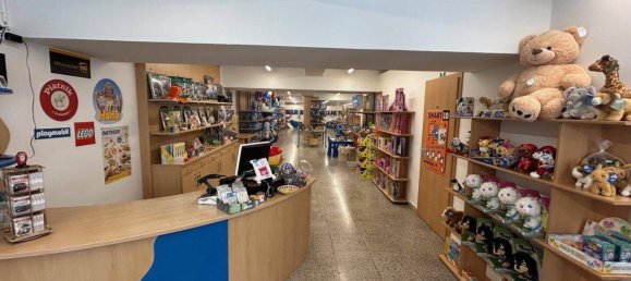  بناية في Waidhofen an der Ybbs, Austria رقم 181605 2