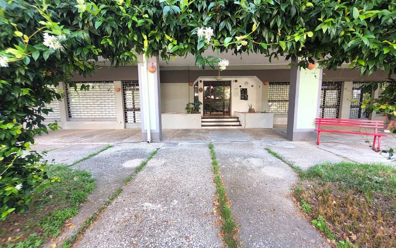 2 rooms Apartment in Silvi, Italy No. 24529