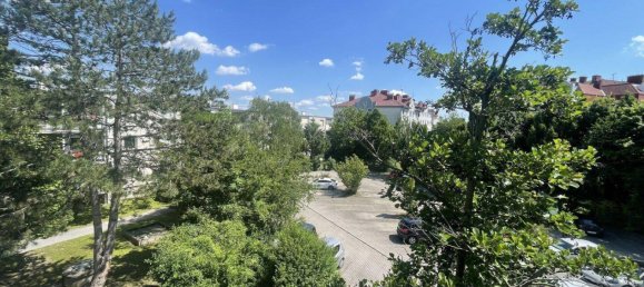 4 rooms Apartment in Maria-Lanzendorf, Austria No. 33263 2