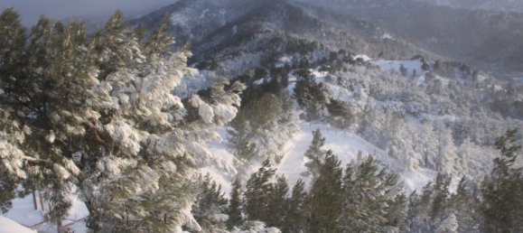 5 bedrooms Villa in Limassol, Cyprus No. 13172 14