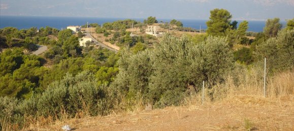 4 Schlafzimmer Gewerbliche Immobilien in Argolis, Greece, Nr. 7822 3