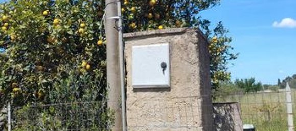 5200m² Land in Tuglie, Italy No. 258387 2