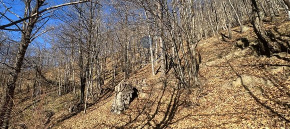 1 bedroom House in Giaveno, Italy No. 148628 2