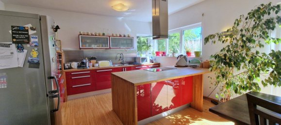 Casa de 2 dormitorios en Munchendorf, Austria No. 209339 9