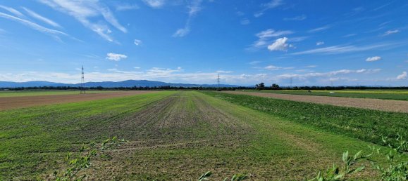 Casa de 2 dormitorios en Munchendorf, Austria No. 209339 16