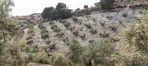 Terrain à Granada, Spain No. 149739 19