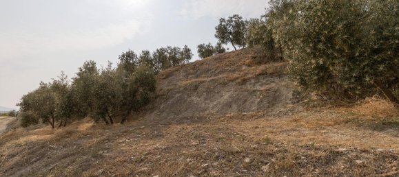 Terrain à Granada, Spain No. 149739 25