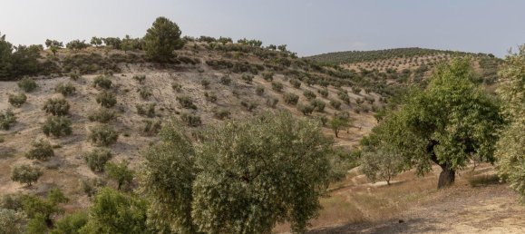 Terrain à Granada, Spain No. 149739 4