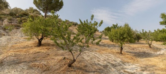 Terrain à Granada, Spain No. 149739 31
