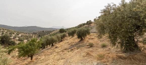Terrain à Granada, Spain No. 149739 29