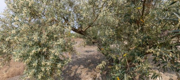 Terrain à Granada, Spain No. 149739 15