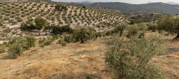Terrain à Granada, Spain No. 149739 24