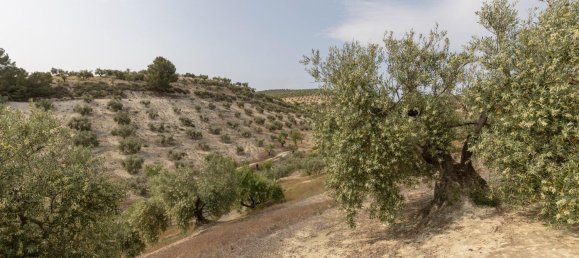 Terrain à Granada, Spain No. 149739 6