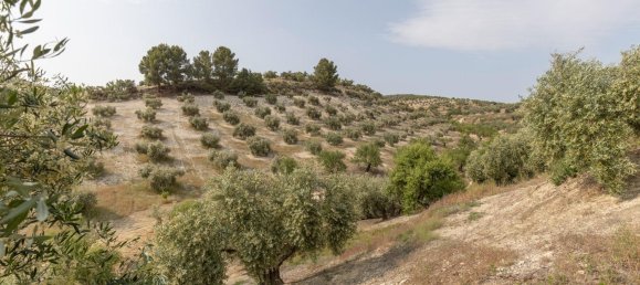 Terrain à Granada, Spain No. 149739 11