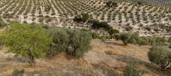 Terrain à Granada, Spain No. 149739 23