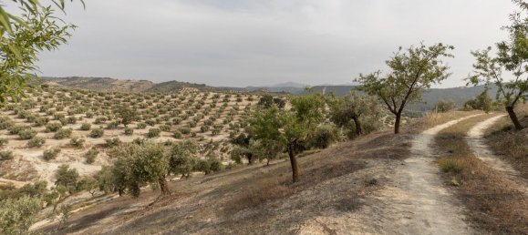 Terrain à Granada, Spain No. 149739 26
