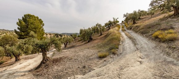 Terrain à Granada, Spain No. 149739 27