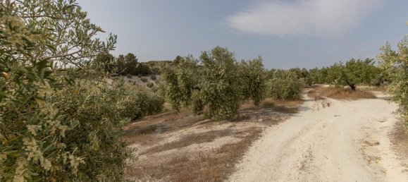 Terrain à Granada, Spain No. 149739 17