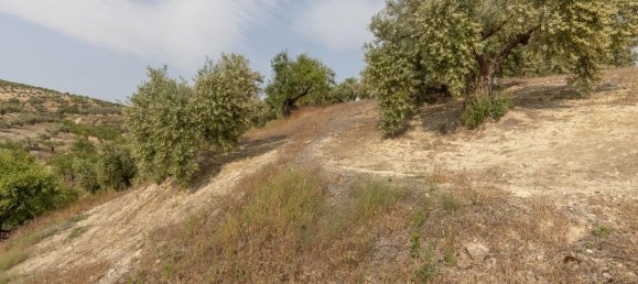 Terrain à Granada, Spain No. 149739 12