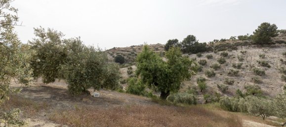 Terrain à Granada, Spain No. 149739 3