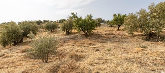Terrain à Granada, Spain No. 149739 30