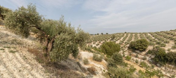 Terrain à Granada, Spain No. 149739 32