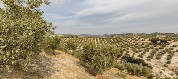 Terrain à Granada, Spain No. 149739 21