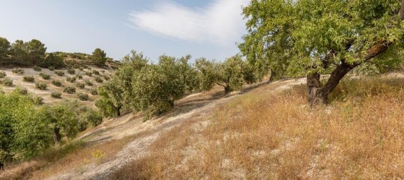 Terrain à Granada, Spain No. 149739 16