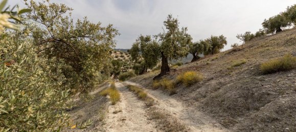 Terrain à Granada, Spain No. 149739 28