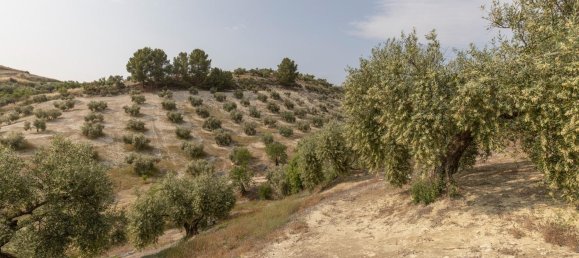 Terrain à Granada, Spain No. 149739 10