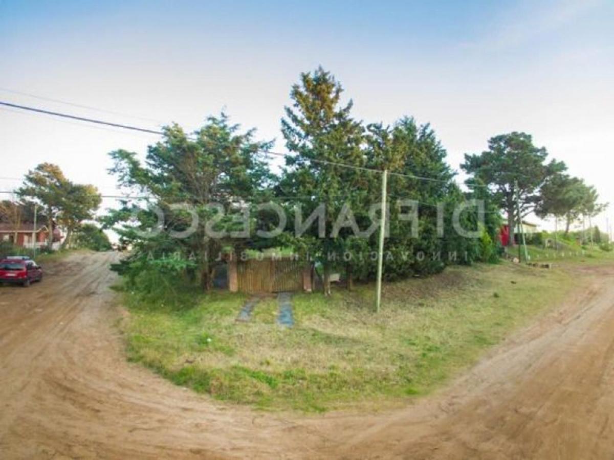 Grundstück in Mar del Plata, Argentina, Nr. 119112