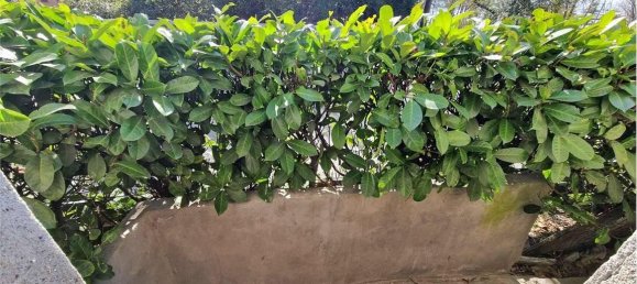 5-salle Maison à Monvalle, Italy No. 139435 24