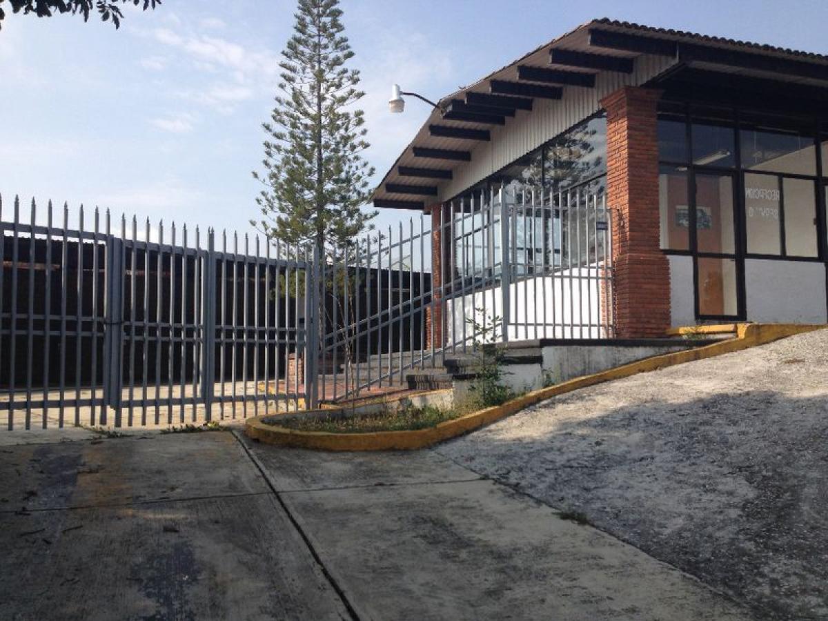 Terrain à Villa Guerrero, Mexico No. 204606