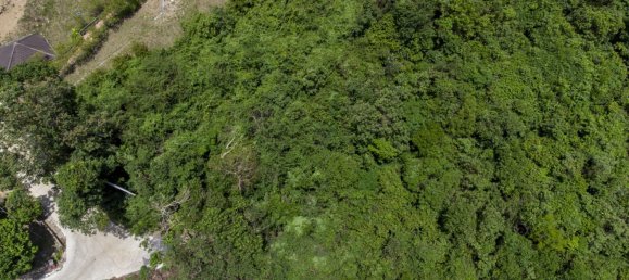 719m² Commercial property in Ko Samui, Thailand No. 12295 2