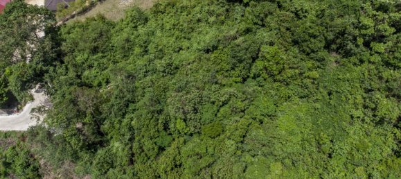 719m² Commercial property in Ko Samui, Thailand No. 12295 5