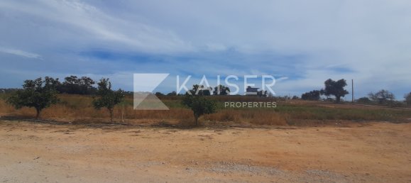 Terrain à Guia, Portugal 2000m² No. 10080 13