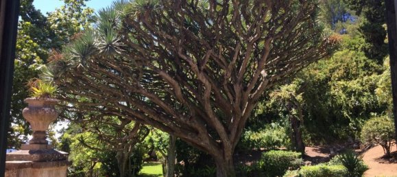 7 غرف نوم منزل في Oeiras, Portugal رقم 106045 14