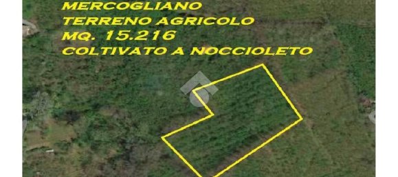 Terrain à Mercogliano, Italy 15216m² No. 119945 11