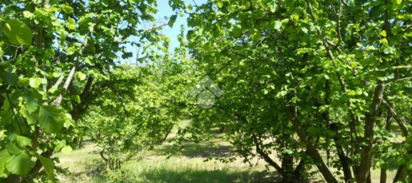 Terrain à Mercogliano, Italy 15216m² No. 119945 5