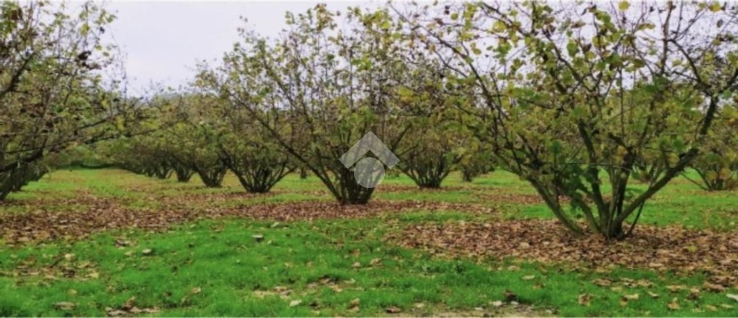 Terrain à Mercogliano, Italy 15216m² No. 119945