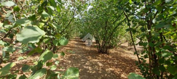 Terrain à Mercogliano, Italy 15216m² No. 119945 4